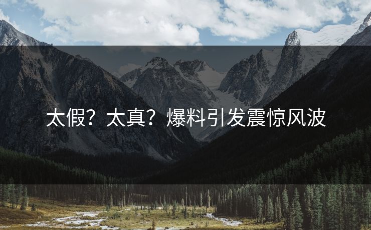 太假？太真？爆料引发震惊风波