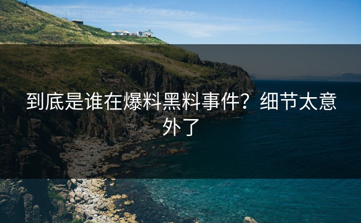 到底是谁在爆料黑料事件？细节太意外了