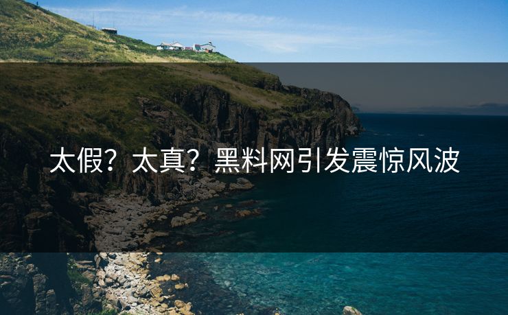 太假？太真？黑料网引发震惊风波