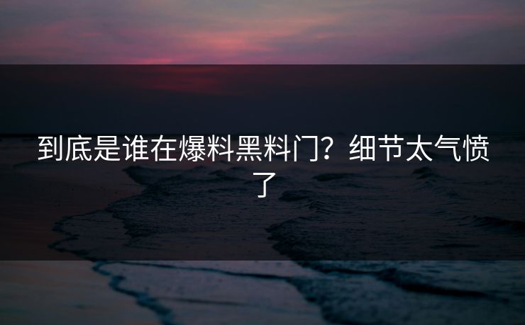 到底是谁在爆料黑料门？细节太气愤了