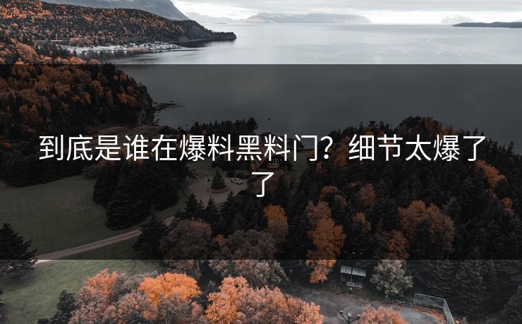 到底是谁在爆料黑料门？细节太爆了了