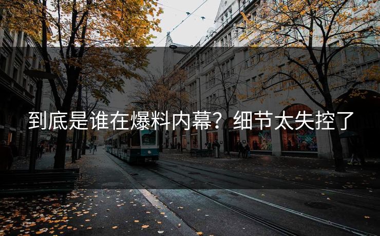 到底是谁在爆料内幕？细节太失控了