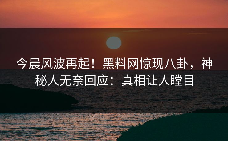 今晨风波再起！黑料网惊现八卦，神秘人无奈回应：真相让人瞠目