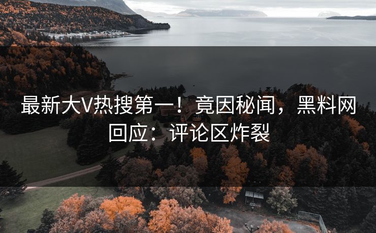 最新大V热搜第一！竟因秘闻，黑料网回应：评论区炸裂