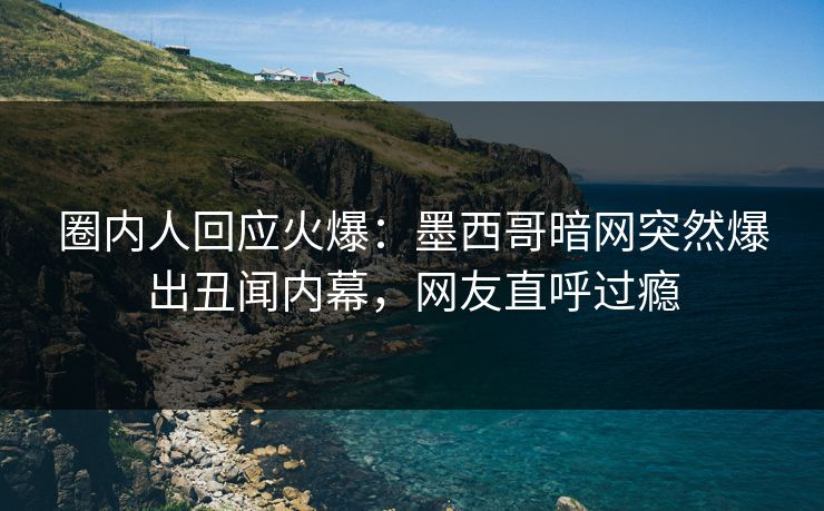圈内人回应火爆：墨西哥暗网突然爆出丑闻内幕，网友直呼过瘾