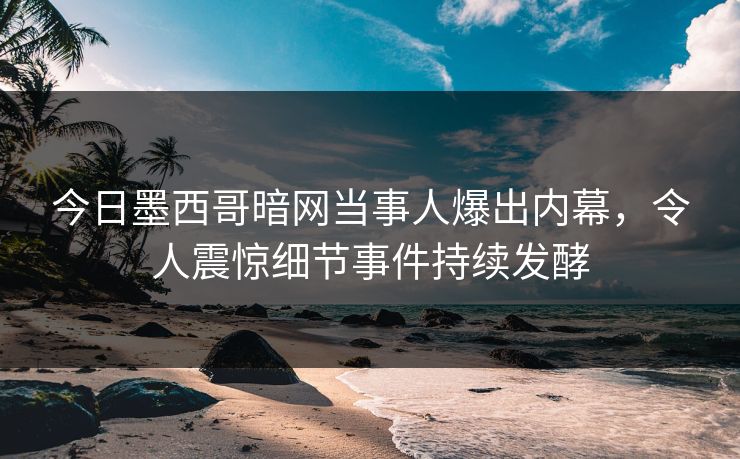 今日墨西哥暗网当事人爆出内幕，令人震惊细节事件持续发酵
